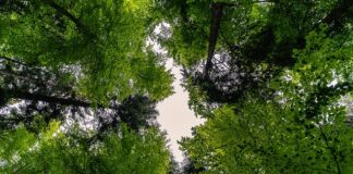 Czy baldachim jest bezpieczny?