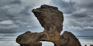 Jak nazywa się Ken?