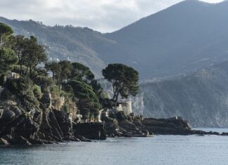 Ile kosztuje założenie aparatu 2023?