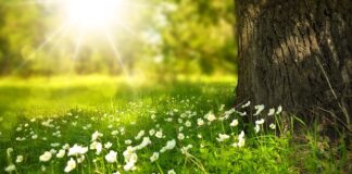 Kto Wręcza kwiaty a kto kopertę?