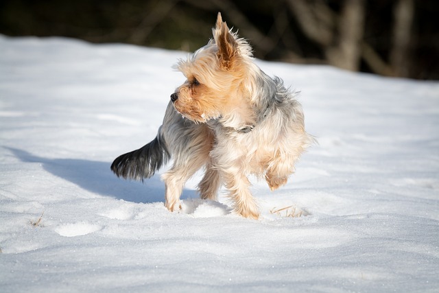 Jak czyścić nosek solą fizjologiczną? Jak czyścić nosek solą fizjologiczną?