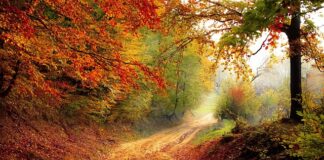 Kiedy 8 klasy kończą rok szkolny 2023?