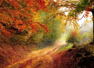 Kiedy 8 klasy kończą rok szkolny 2023?