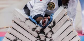 Czy można wejść z psem do Action?