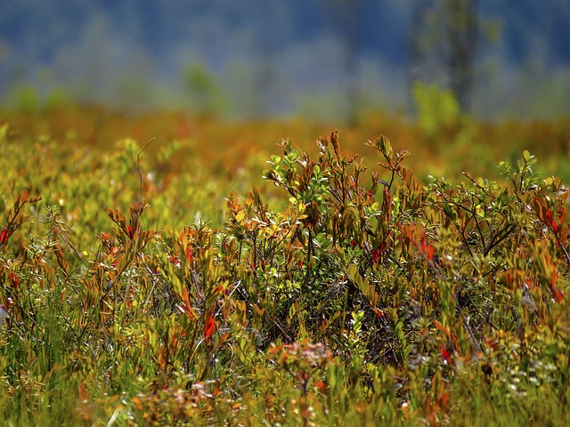 Jak zrobić Squishy z balona? Jak zrobić Squishy z balona?