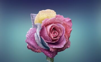 Jakie płatki kosmetyczne dla niemowląt?