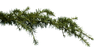 Jak pomóc dziecku z zatkanym nosem w nocy?