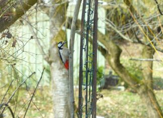 Jakie są dziedziny sztuk plastycznych?