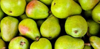 Jak używać gruszki do nosa u niemowląt?