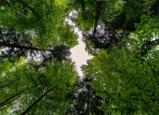 Jak zawiesić baldachim nad łóżeczkiem? Jak zawiesić baldachim nad łóżeczkiem?