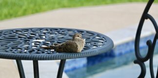 Jak dbać o wodę w basenie dla dzieci?