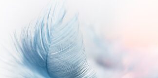 Jak się robi Fluffy slime?