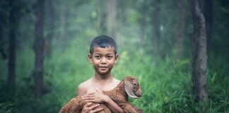 Jak usunąć kozy z nosa u niemowlaka?