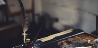 Czym się różnią lotki soft od Steel?