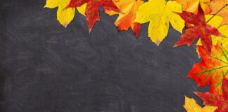 Co kupić dziecku na rozpoczęcie roku szkolnego?