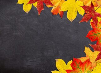 Co kupić dziecku na rozpoczęcie roku szkolnego?