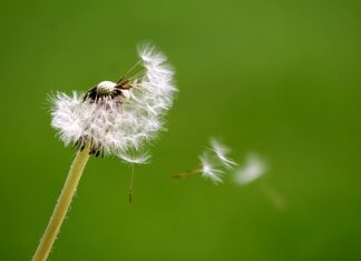 Jak nauczyć się dmuchać balony?