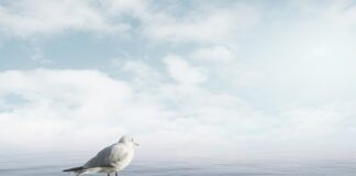 Jak uspokoić 4 letnie dziecko?