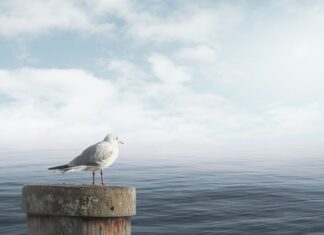 Jak uspokoić 4 letnie dziecko?