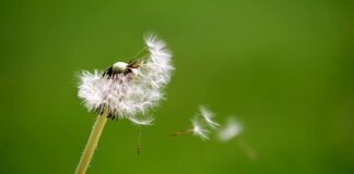 Kiedy dmuchać balony?