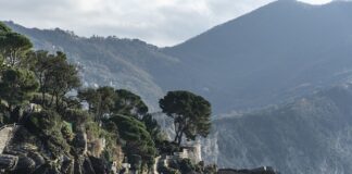 Ile kosztuje wkład do Instaxa?