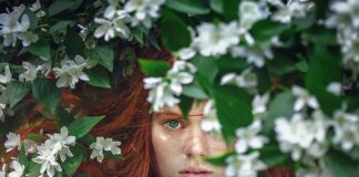 Jakie bajki wychodzą w 2023?