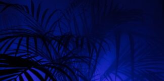 Jaki materiał na legginsy dla dzieci?