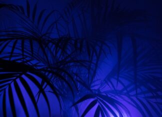 Jaki materiał na legginsy dla dzieci? Jaki materiał na legginsy dla dzieci?