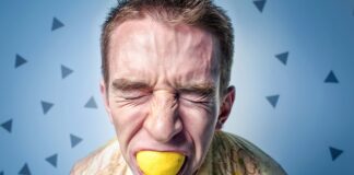 Jak zacząć animacje dla dzieci?