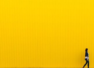 Co oznacza żółta karetka S?