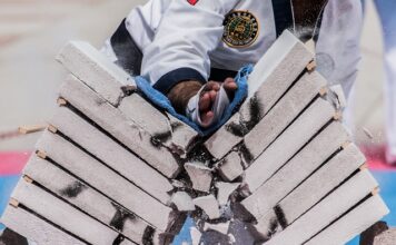 Czy w Action S.a zabawki?