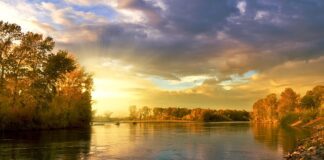 Jakie kolory na roczek?