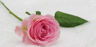 Ile dać na komunię 2023?