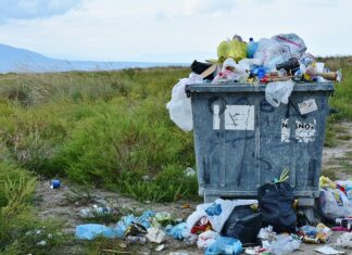 Ile kosztuje usuwanie rys u lakiernika? Ile kosztuje usuwanie rys u lakiernika?