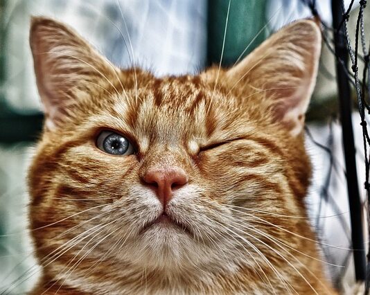 Jak obliczyć ile jest wody w oczku? Jak obliczyć ile jest wody w oczku?