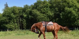 Czy opłaca się montować pompę ciepła?