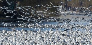 Jak sprawdzić wysokość działki?