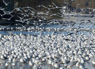 Jak sprawdzić wysokość działki?