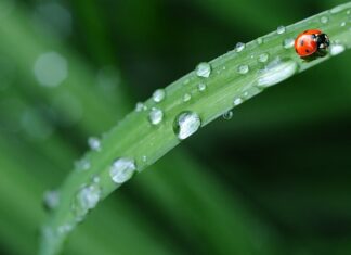 Z czego pościel jest najlepsza? Z czego pościel jest najlepsza?
