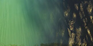 Jak sprawdzić poziom gruntu?