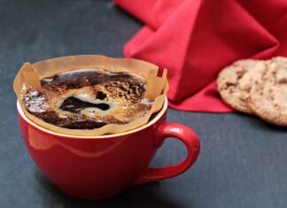 Jaki filtr na glony? Jaki filtr na glony?