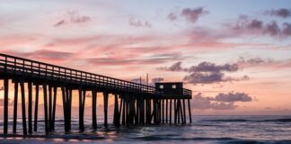 Czym się różni jersey od bawełny?