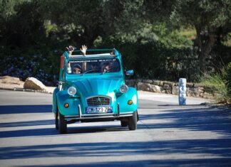 Do czego służy Paca z filcem?