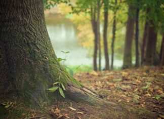 Jak rozpoznać formy terenu na mapie Poziomicowej?