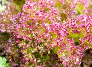 W jakie dni nie zmienia się pościeli? W jakie dni nie zmienia się pościeli?