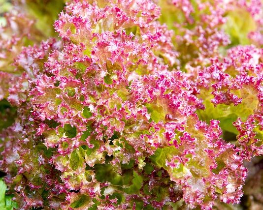 W jakie dni nie zmienia się pościeli?