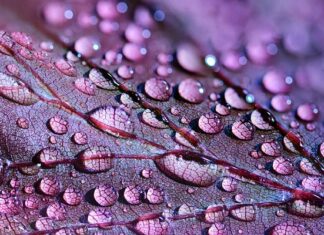 Jak przedłużyć Świeżość wody w basenie?