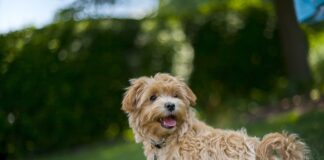 Jaka pościel na upały?