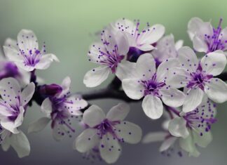 Czym zalać słupki do bramy?