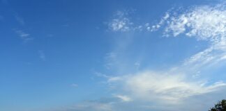 Kiedy spuścić wodę na działce?